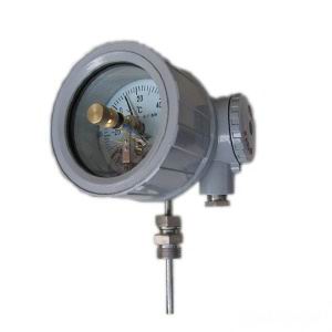 WSSX-B隔爆雙(shuāng)金屬溫度(dù)計