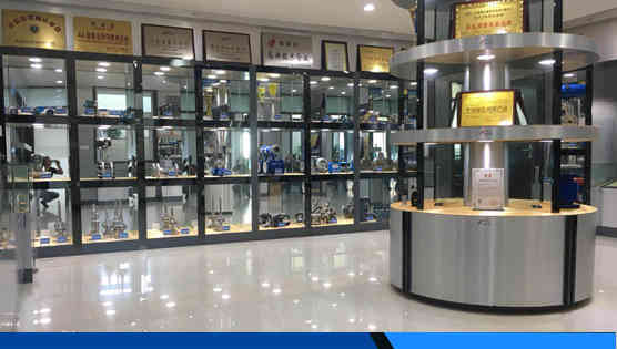 江蘇中儀儀表(biǎo)集團有限公司(si)